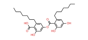 2-Heptyl-4-[(2-heptyl-4,6-dihydroxyphenyl)carbonyloxy]-6-hydroxybenzoic acid